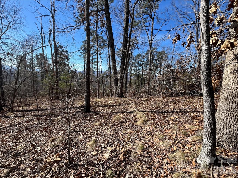 Bills Mountain Trl #7, Lake Lure, NC 28746
