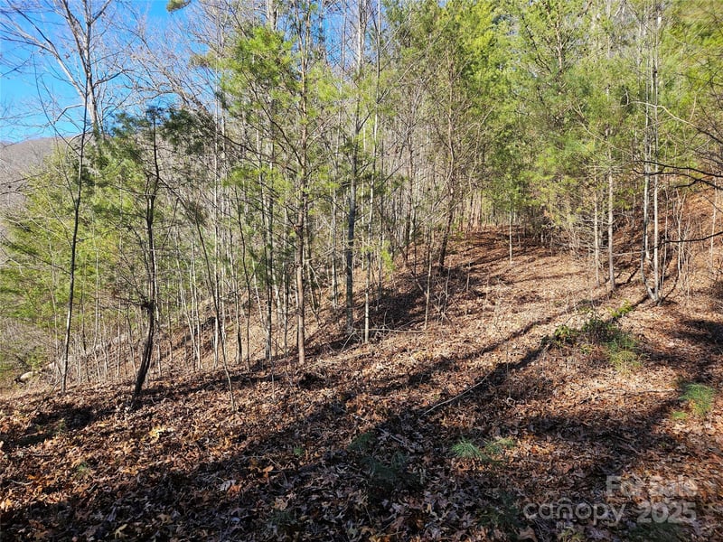 00 Wispy Willow Dr #24T, Waynesville, NC 28785