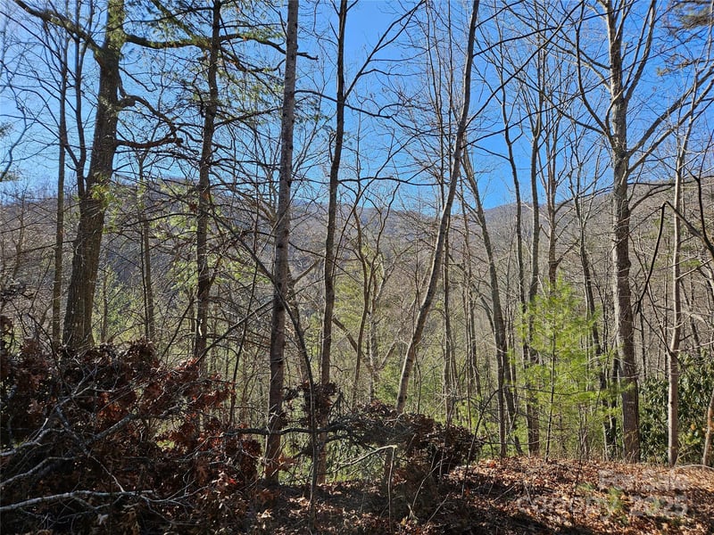 00 Wispy Willow Dr #24T, Waynesville, NC 28785