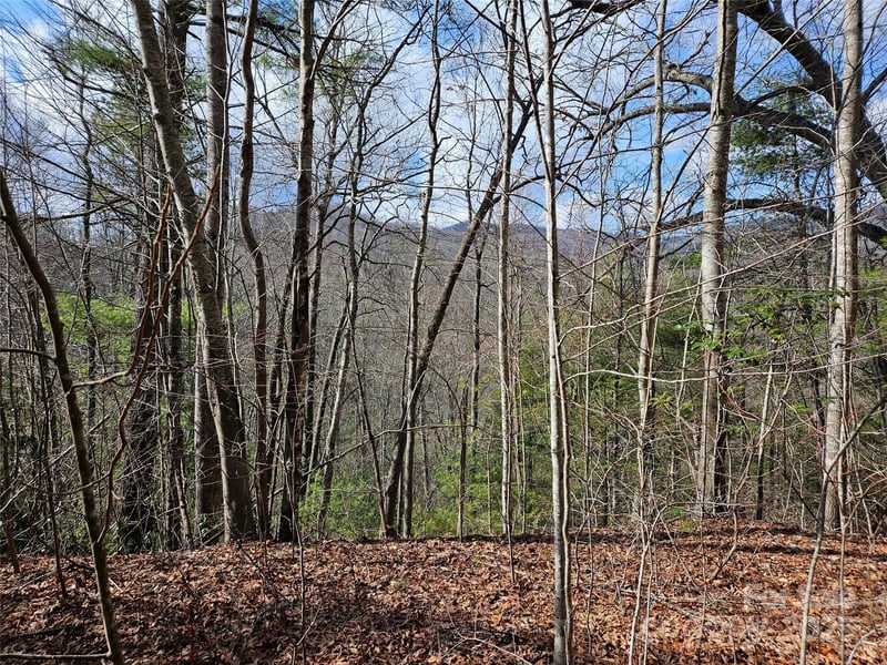 00 Wispy Willow Dr #24T, Waynesville, NC 28785