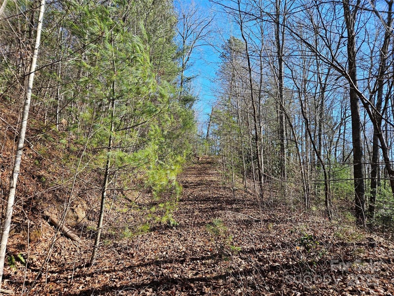 00 Wispy Willow Dr #24T, Waynesville, NC 28785