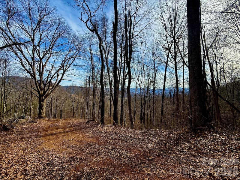 672 Porters Rg, Canton, NC 28716