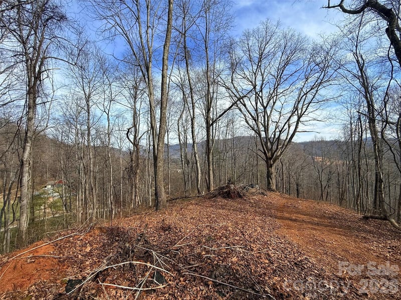 672 Porters Rg, Canton, NC 28716