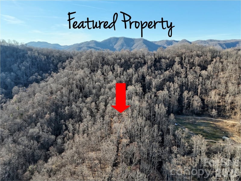 672 Porters Rg, Canton, NC 28716