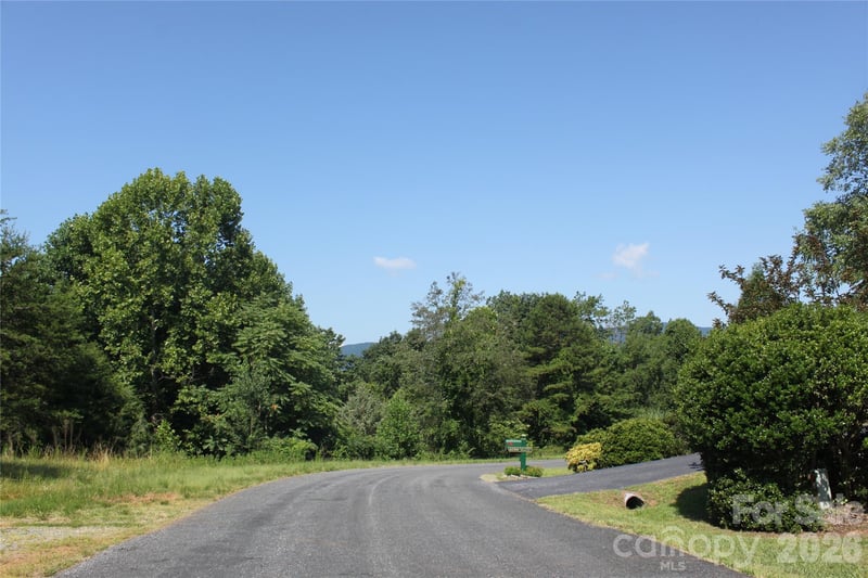 0 Lake Adger Pw, Mill Spring, NC 28756