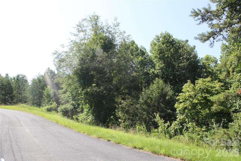 0 Lake Adger Pw, Mill Spring, NC 28756