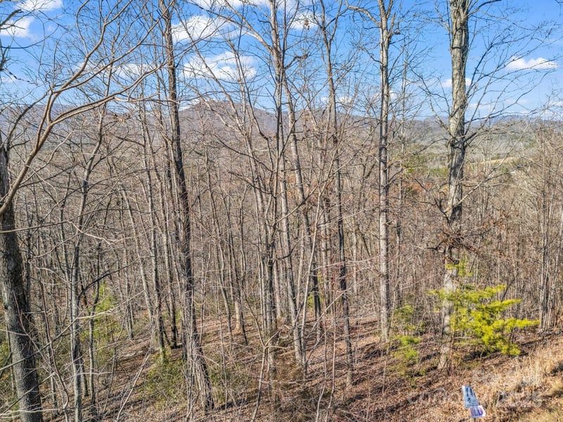 0 Golden Ridge Dr, Lake Lure, NC 28746