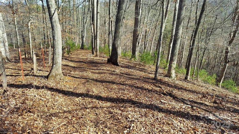 103 Barn Rd, Burnsville, NC 28714