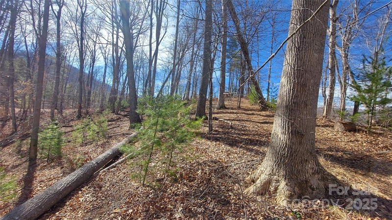 103 Barn Rd, Burnsville, NC 28714