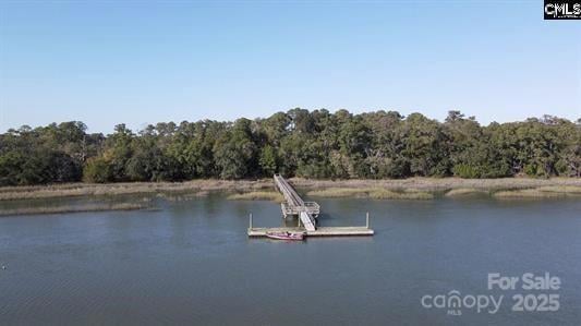 244 Sam Doyle Dr, Beaufort, SC 29920