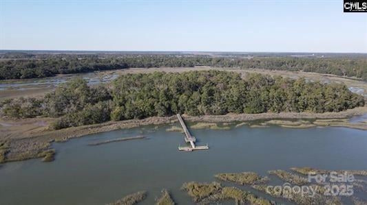 244 Sam Doyle Dr, Beaufort, SC 29920
