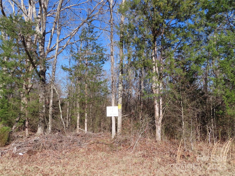 lot 2 Winter Rd #2, Rock Hill, SC 29730