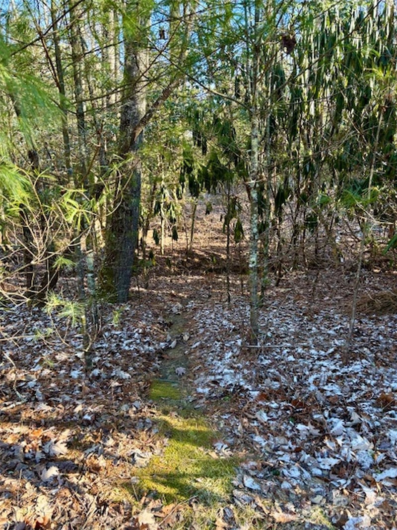 99999 Small Creek Rd #4, Brevard, NC 28712