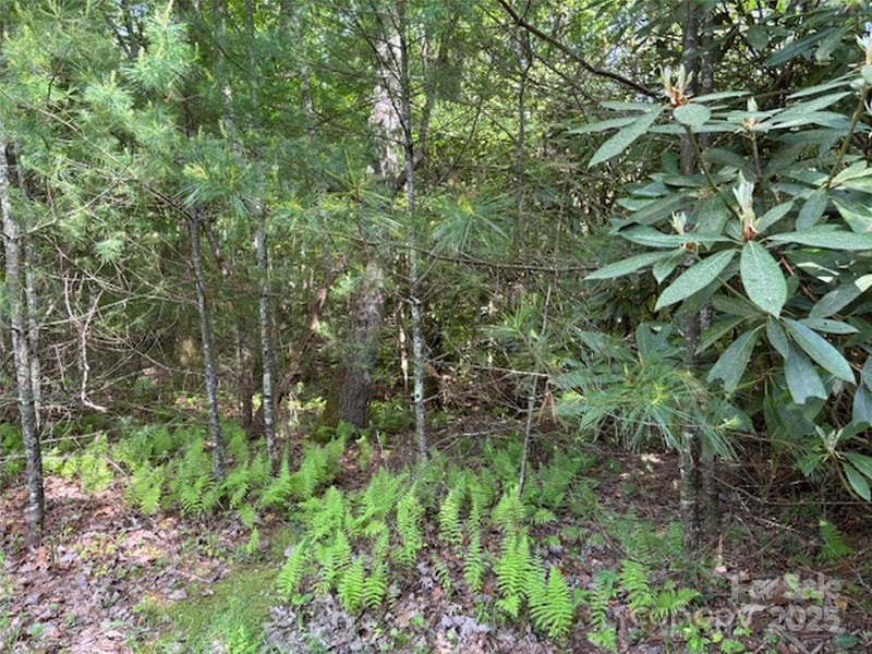 99999 Small Creek Rd #4, Brevard, NC 28712