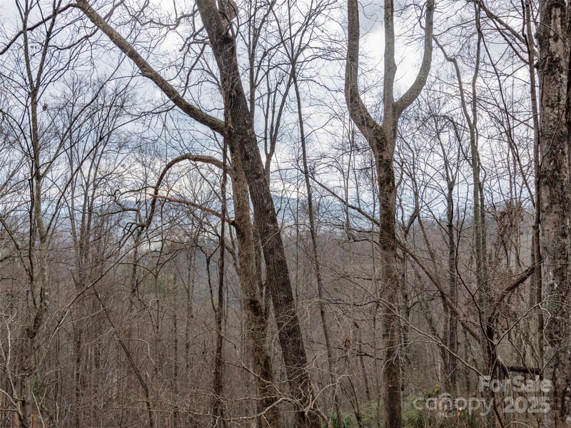 00 Cherry Berry Dr, Waynesville, NC 28785