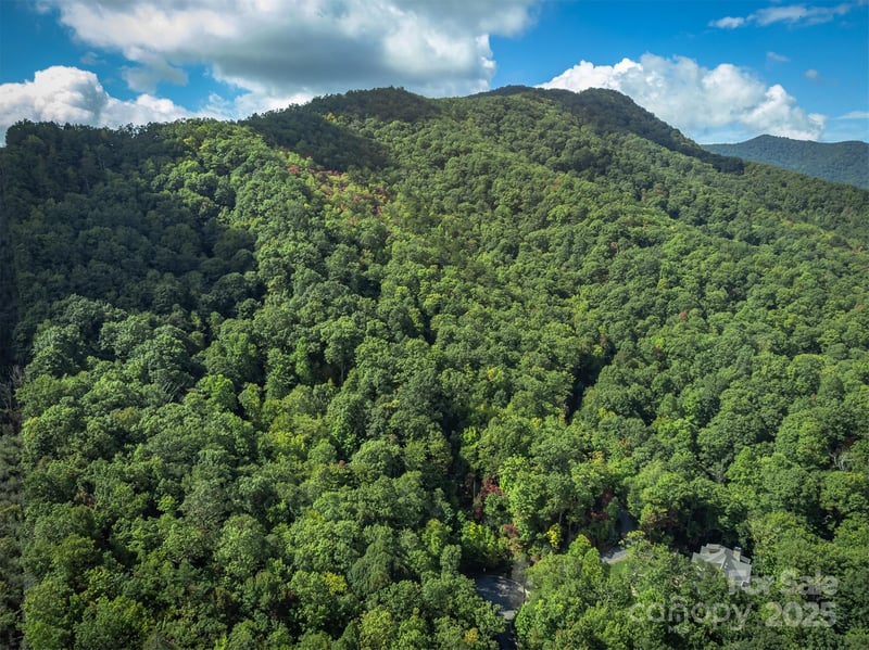 66 Sisters View Dr #159, Black Mountain, NC 28711