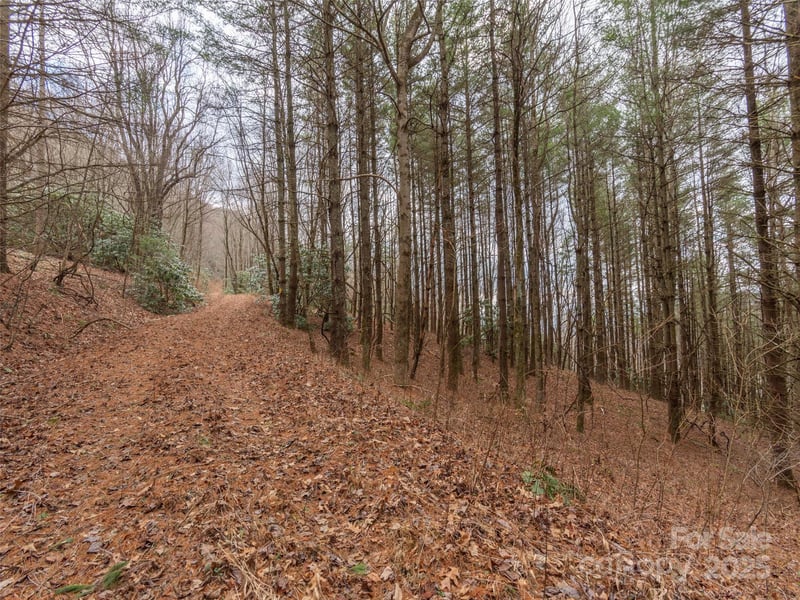 00 Bald Creek Rd, Clyde, NC 28721