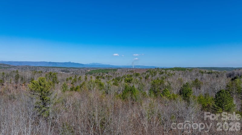 TBD Dirksen Ave #60, Nebo, NC 28761