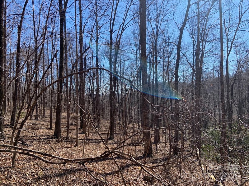 TBD Glen Ridge Trl #252, Lake Lure, NC 28746