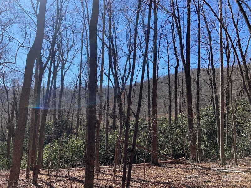 TBD Glen Ridge Trl #252, Lake Lure, NC 28746