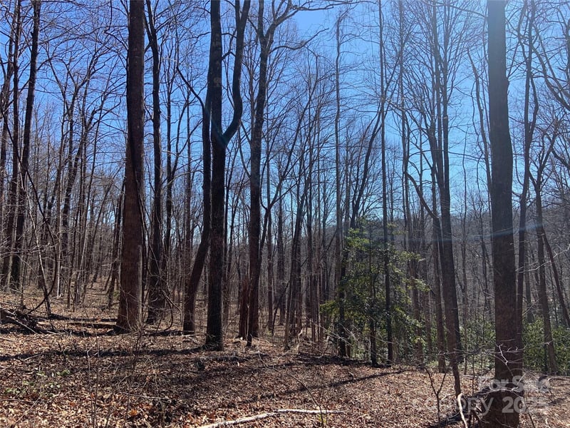 TBD Glen Ridge Trl #252, Lake Lure, NC 28746