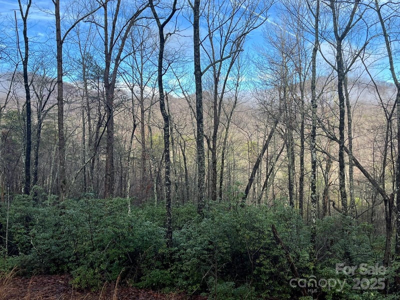 00 Ridgecrest Dr, Lake Lure, NC 28746