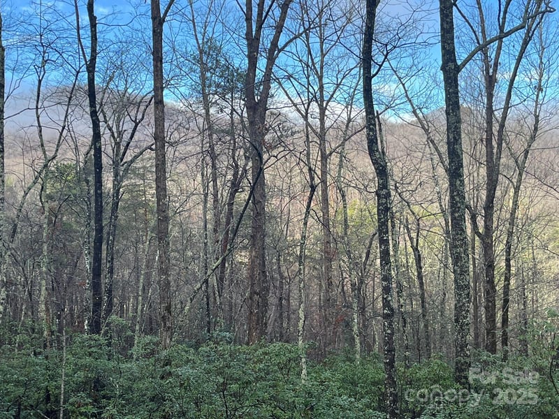 00 Ridgecrest Dr, Lake Lure, NC 28746