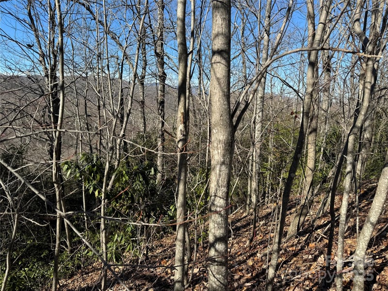 239 Fuji Falls Trl #138, Black Mountain, NC 28711