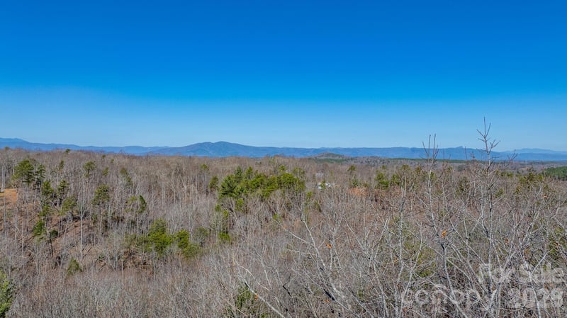 TBD Dirksen Ave #61, Nebo, NC 28761
