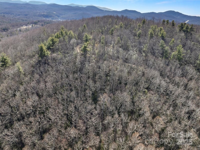 0 Mt Olivet Rd, Zirconia, NC 28790