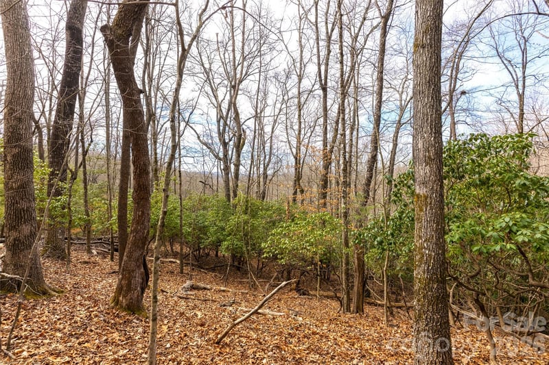 Aberdeen Ln, Pisgah Forest, NC 28768