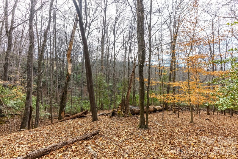 Aberdeen Ln, Pisgah Forest, NC 28768