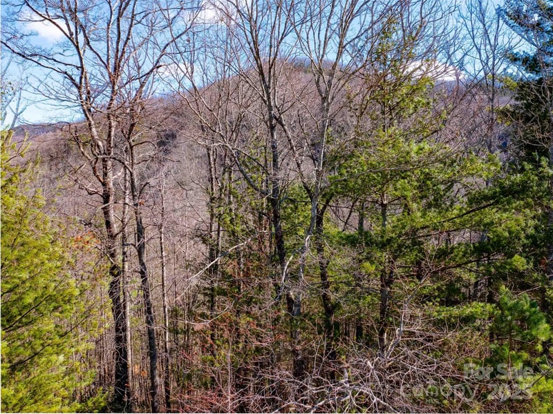 794 Silverstone Dr, Hendersonville, NC 28792
