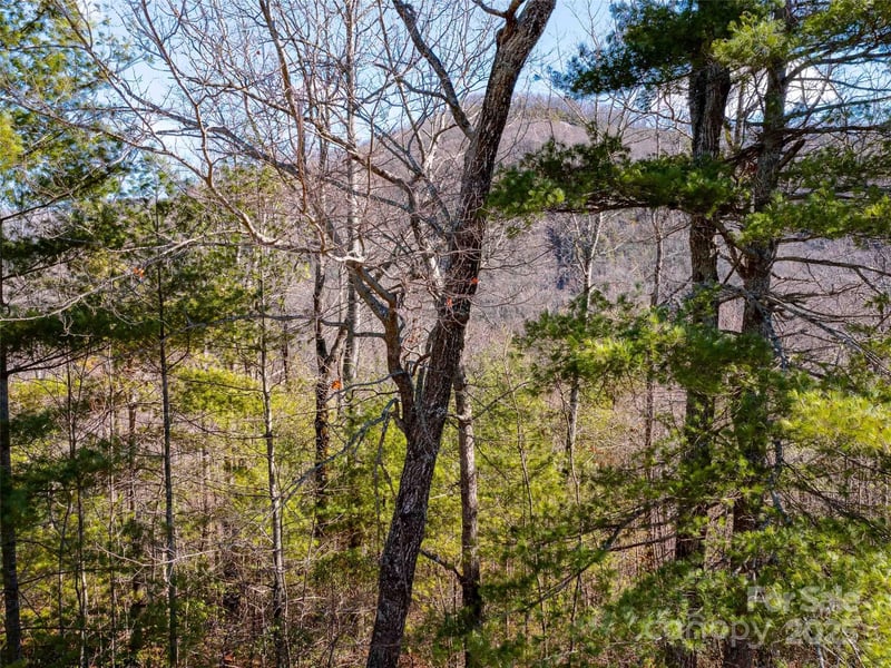 794 Silverstone Dr, Hendersonville, NC 28792