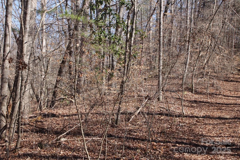 Rutherford St, Spindale, NC 28160