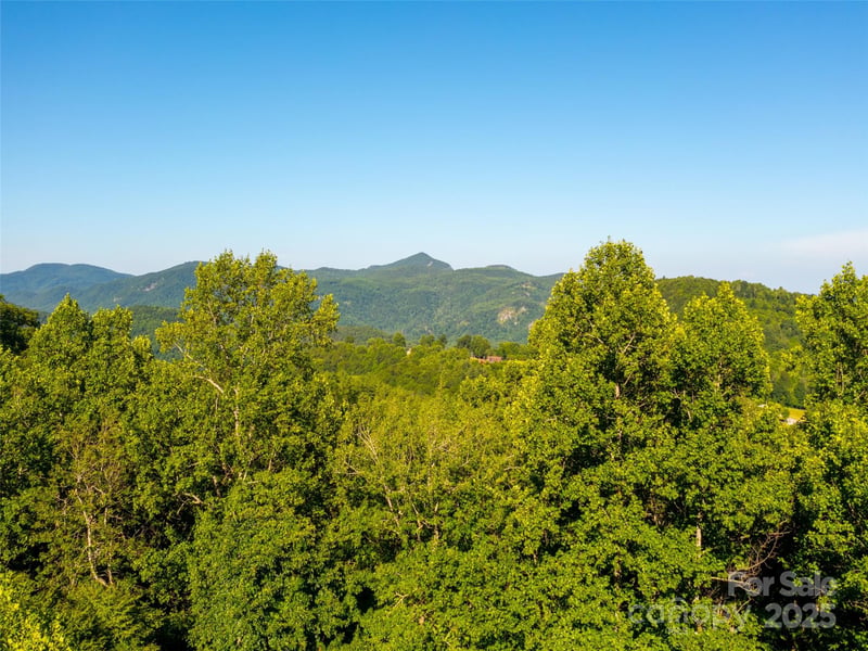 811 Grand Oaks Dr, Hendersonville, NC 28792