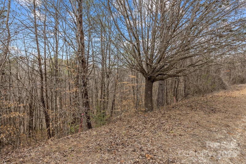Lot 102 Glenhaven Dr, Marion, NC 28752