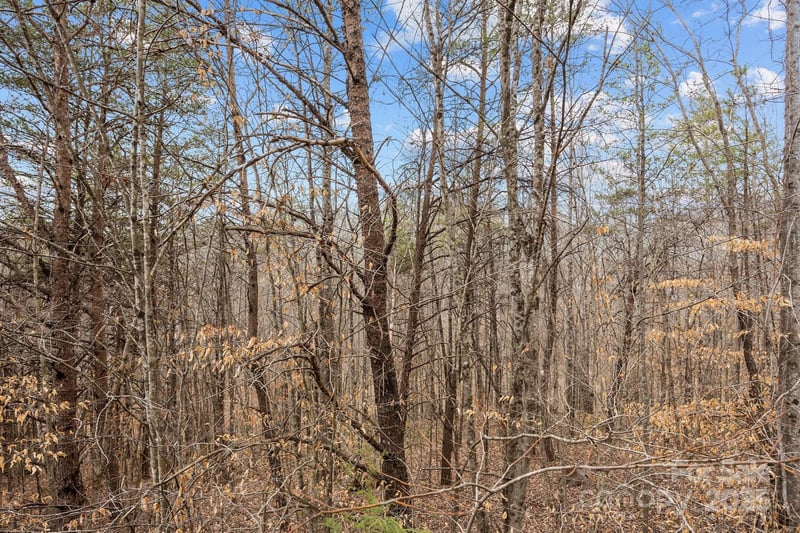 Lot 102 Glenhaven Dr, Marion, NC 28752