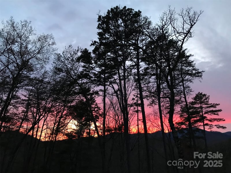 000 Raven Blvd #65, Lake Lure, NC 28746