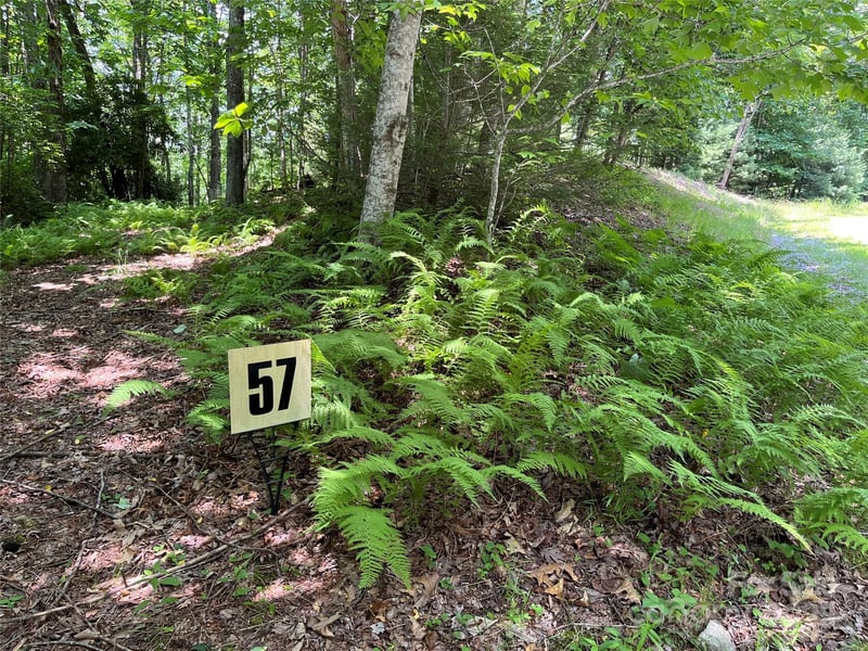 57 Big Branch Rd, Brevard, NC 28712