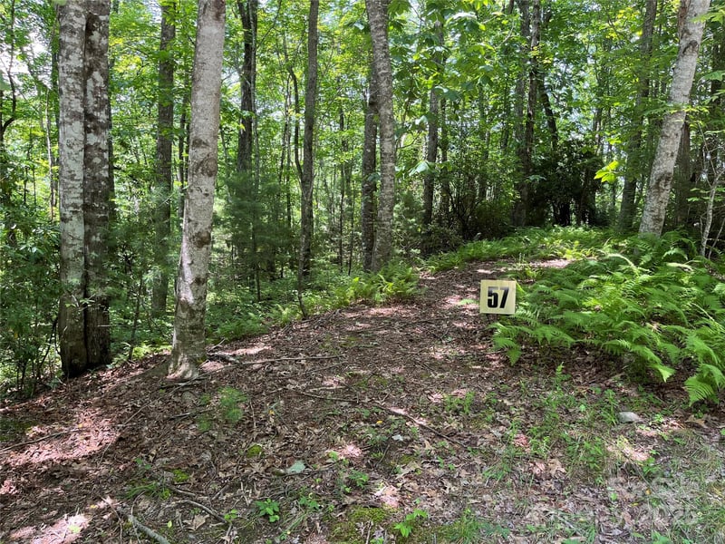 57 Big Branch Rd, Brevard, NC 28712