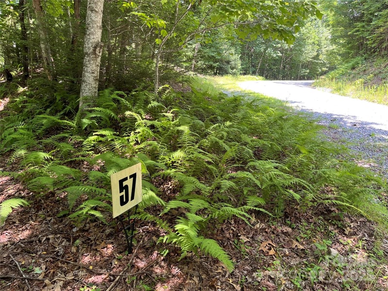 57 Big Branch Rd, Brevard, NC 28712