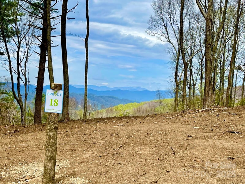 TBD East Garden Trl #18, Hendersonville, NC 28792
