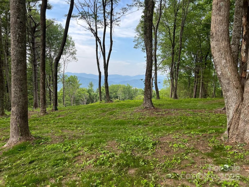 TBD East Garden Trl #18, Hendersonville, NC 28792