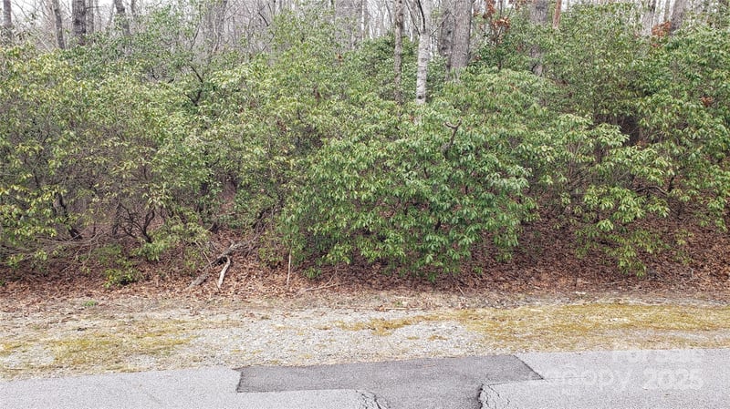 9999 Gagama Ct #16/19, Brevard, NC 28712