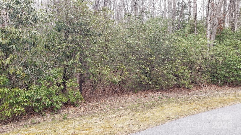 9999 Gagama Ct #16/19, Brevard, NC 28712