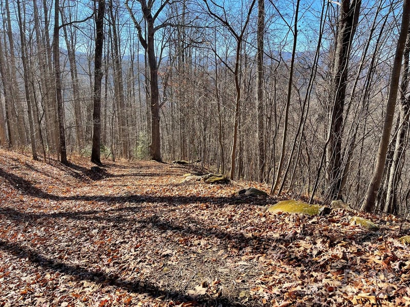 00 Weatherwatch Ln #48, Waynesville, NC 28786