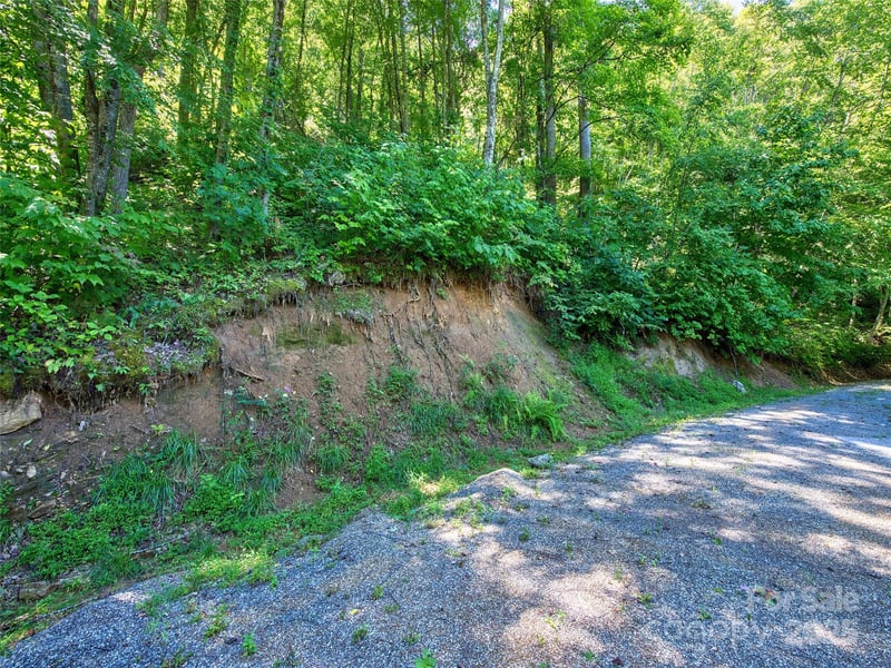 00 Yellow Locust Dr, Waynesville, NC 28786