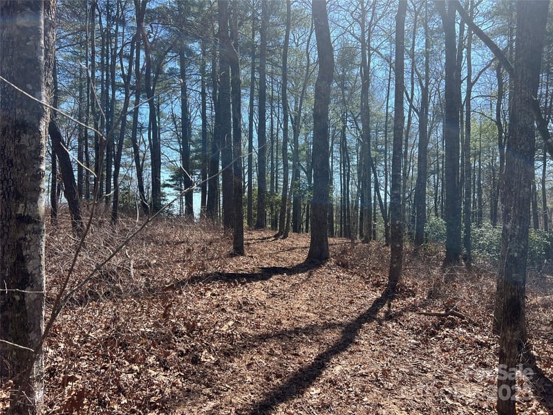 TBD Panther Ridge Rd, Lake Toxaway, NC 28747