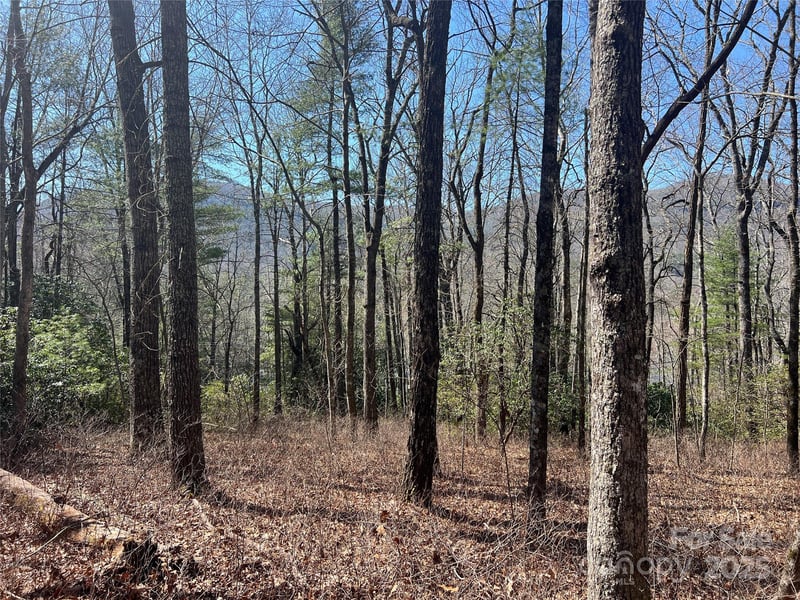 TBD Panther Ridge Rd, Lake Toxaway, NC 28747